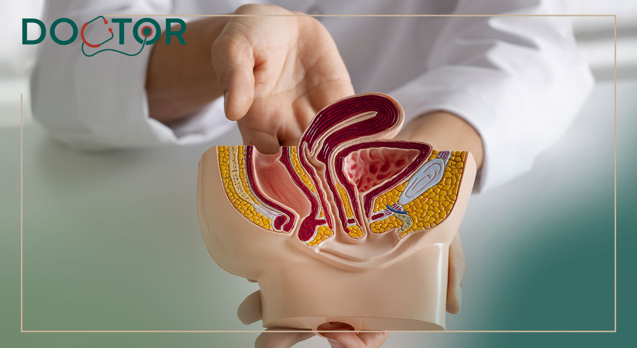 اندازهگیری پروستات چگونه انجام می شود؟