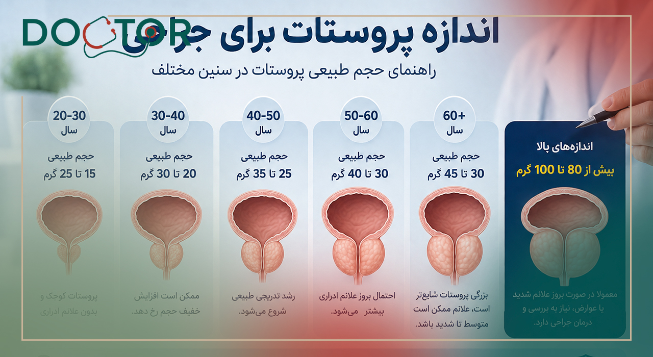 اندازه نرمال پروستات در سنین مختلف